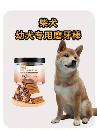 专为换牙期幼犬设计的宠物磨牙棒,安全耐咬,舒缓牙齿不适,让狗狗快乐磨牙,让家具完好无损|柴犬幼犬专用磨牙棒#柴犬 #宠物磨牙棒 #幼犬磨牙棒 #狗狗零食 #科学养宠攻略