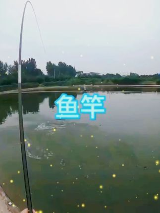 富源百川鱼竿317二代综合鱼竿碳素超轻超硬鲫鱼竿鲤鱼竿台钓手杆 #鱼竿测评 #鱼竿 #鱼竿包 #鱼竿测评 #鱼竿测评
