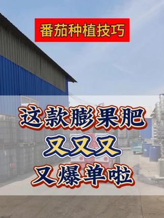 这款膨果肥,为啥这么受欢迎? #种植小技巧 #西红柿种植 #膨果增甜 #膨果肥 #水溶肥