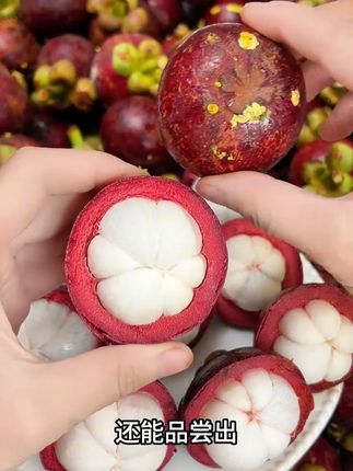 这泰国老树麻竹口感太绝了!果肉肥厚似蒜瓣,汁水丰盈清甜带微酸,冰镇后好吃到跺脚#山竹 #新鲜应季水果 #快来一起尝个鲜 #水果 #紫皮大蒜