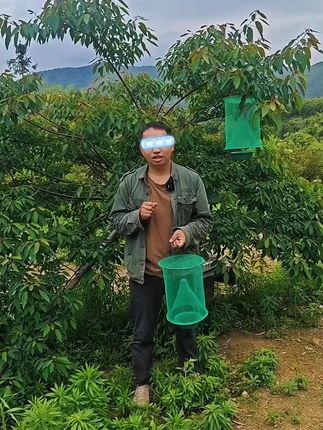 怎样预防马蜂打小蜜蜂 # 马蜂 # 胡蜂 # 马蜂诱捕笼