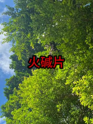 工业火碱强力疏通去油污清洁剂 #重油污清洁 #管道疏通 #厨房清洁