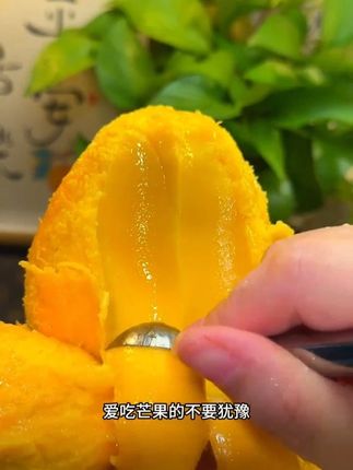 #芒果