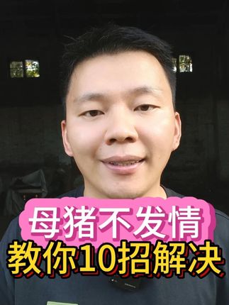 母猪不发情,教你10招解决! #养猪经验 #母猪不发情 #快速解决母猪不发情 #母猪不发情怎么办 #母猪不发情的妙招