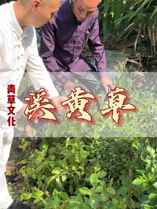 有一个小妙招#召唤茶友 #爱喝茶的关注我
