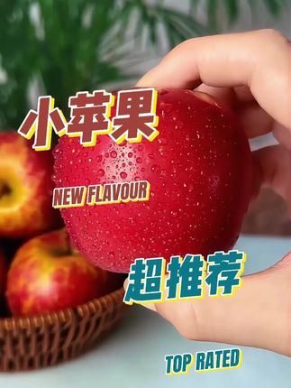 山东鲁丽小苹果 #头茬小苹果 #好物推荐 #小苹果 #口感特别好 #超便宜超划算 #现摘现发