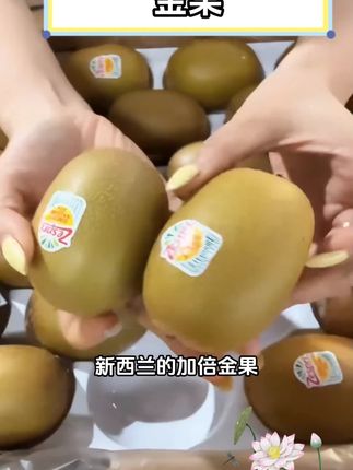 【本来果坊】新西兰佳沛金奇异果黄心猕猴桃#水果 #佳沛金奇异果 #佳沛金果 #奇异果 #黄心猕猴桃