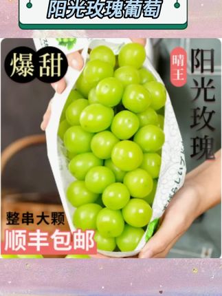 【顺丰包邮】高原阳光玫瑰葡萄新鲜水果晴王葡萄无籽巨峰青提子当季 #新鲜应季水果 #抖音助农 #优质农产品 #水果 #三农