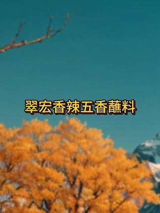 翠宏蘸料品牌方太强势了!怎么可以这样!#翠宏蘸料品牌 #五香蘸料 #翠宏香辣蘸料 #香辣蘸料 #好吃