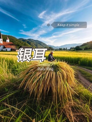 椴木小银耳,自然清香,胶质浓郁,汤汁清透,口感很好,区别于普通银耳,椴木小银耳以椴木为基质,在接近野生的环境中自然孕育,一年仅产一季 ,产量珍稀。 泡发快速,短时间内就能变得软糯丰盈 。无论是慢火细炖成浓稠香甜的银耳羹,搭配红枣、枸杞暖身;还是凉拌入菜,与黄瓜、胡萝卜等搭配出清爽口感;亦或是与肉类同炖,为汤品增添醇厚鲜美,它都能完美驾驭。 姐妹们平时必不可少的就是银耳,唱完小脸润润的,这样的银耳真的可以囤一些,一年四季家里必不可少的也是银耳,#好吃不贵经济实惠#银耳#软糯香甜#好物推荐🔥#锻木小银耳