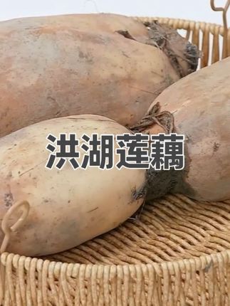 洪湖莲藕#洪湖莲藕 #洪湖莲藕粉糯香甜 #洪湖莲藕你吃过吗