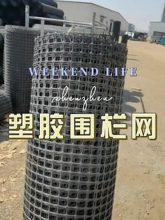 #专业生产厂家 #圈地养殖网 #围栏网养殖网 #塑料围栏网