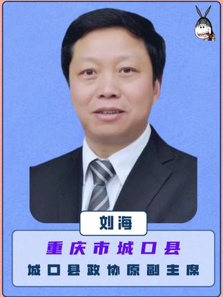 重庆城口:城口县政协原副主席刘海! #案件故事 #重庆 #城口 #惩腐倡廉