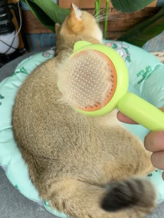 用宠物浮毛梳给猫咪温柔地去浮毛,一边梳顺打结的毛发一边去浮毛,实用便捷易用#宠物梳子 #猫毛梳 #新手养猫