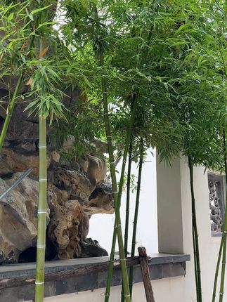 五年级上册暑假要背诵哪些内容呢?这本学霸速记都整理好了#暑假 #五年级 #学霸速记