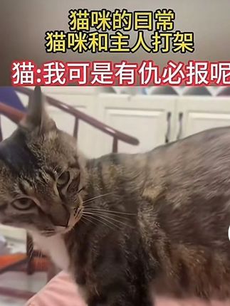大家快来抢啊,5升大桶超值装添加一级亚麻籽油,厂家不计成本冲销量,太划算了! #好物推荐🔥 #食用油 #厨房好物 #粮油