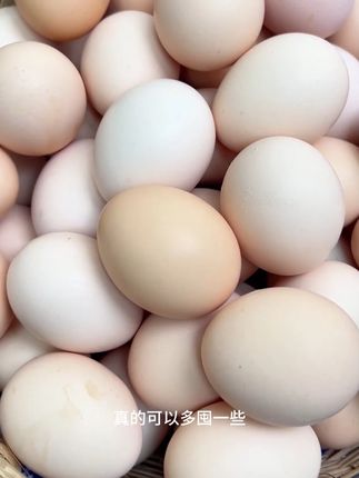 孩子不爱吃鸡蛋?试试这个散养土鸡蛋!蒸蛋羹香到舔碗! #生态散养土鸡 #美食 #土鸡蛋 #农家散养土鸡蛋 #鸡蛋