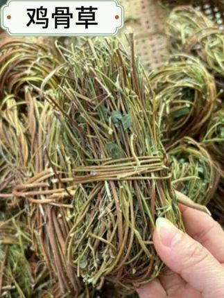 怀集大山鸡骨草菜 #鸡骨草 #煮水 #大自然的馈赠 #山货