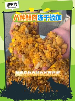 一口肉一口粮,挑食小狗也难以抗拒,趁划算真的可以囤!#萌宠好物 #宠物好物分享 #狗狗兴奋 #养狗攻略