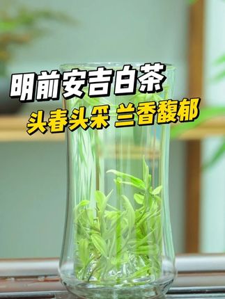 #安吉白茶 #茶香四溢 #爱喝茶的关注我 #茶叶 #绿茶