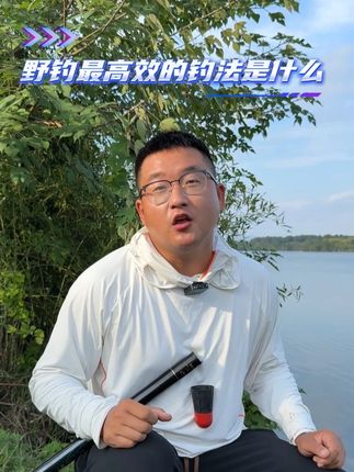 野钓最高效的钓法是什么 #钓鱼 #钓鱼技巧 #钓鱼人
