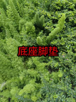 洗衣机冰箱底座脚垫滚筒波轮置物架家用可移动防潮防滑 #洗衣机底座 #冰箱底座 #家居博主
