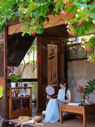 夏季滋补新选择!枣暖情家无核枣,营养美味两不误#去皮无核枣 #红枣 #健康零食 #辅食 #女生必备