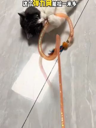 猫咪玩具新款网管羽毛带铃铛自嗨解闷神器耐咬质量好的长杆逗猫棒 #养宠装备 #萌宠日记 #趣味养宠