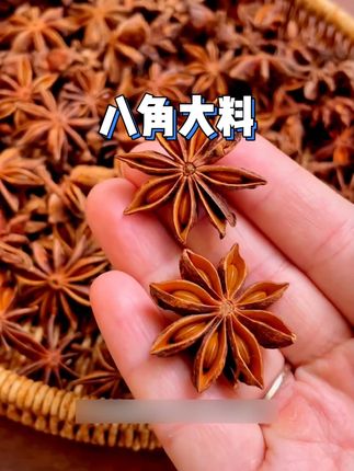 抢一罐!新货】八角大料250g香料调味料卤料商用家用烹饪天然香味#零食推荐 #好吃到停不下来 #吃货必备