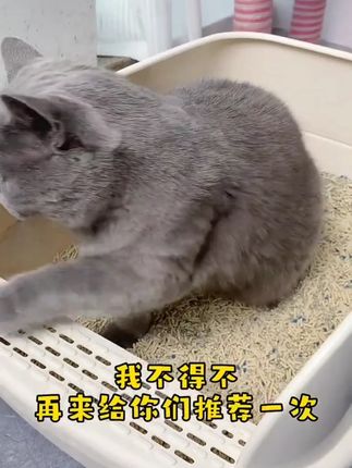 卡布奇【6合1豆腐小米混合砂】小米混合砂加强抑菌除臭不粘底混合型卡布奇【6合1豆腐小米混合砂】小米混合砂加强抑菌除臭不粘底混合型