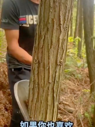手工锻打锋利耐用农用多功能砍树大刀砍柴专用工具农用长柄砍刀 #农用工具 #砍树神器 #多功能砍刀