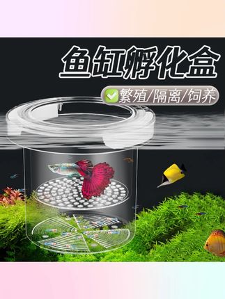 【宠大条】鱼缸孔雀鱼孵化器繁殖盒隔离盒热带鱼孵化产卵器鱼苗隔离#鱼缸繁殖盒 #孔雀鱼孵化器 #热带鱼隔离 #宠大条产品 #养鱼必备