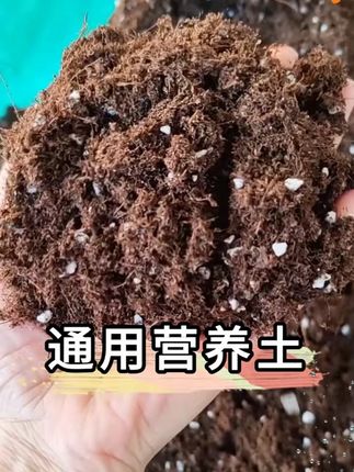 通用型有机营养肥力持久蔬菜花卉通用疏松种植营养营养土种菜专用#种植营养土 #蔬菜花卉 #肥力持久 #疏松土壤 #种植好物