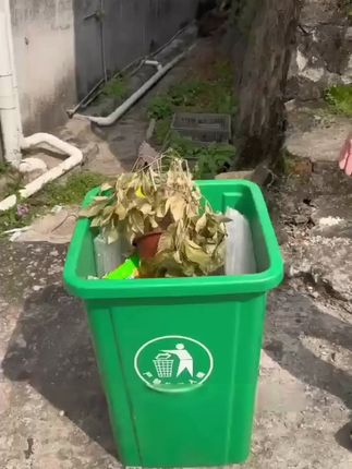 不管多难养的花,只要用上它,都可以轻轻松松唤醒植物生命!#爱沐花#植原H101 #花卉绿植 #养花小知识 #种植小技巧