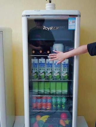 【荣事达复古冰吧】复古墩墩吧高颜值奶油风办公室家用冷藏柜酒柜