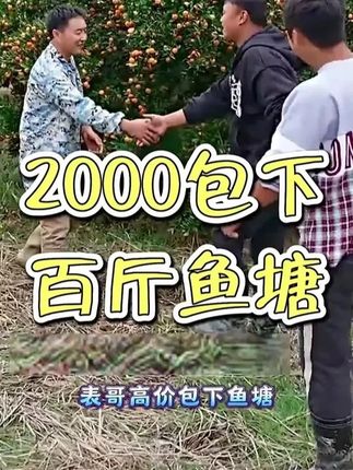 #大表哥vlog#三农#乡村生活#日常vlog#记录真实生活
