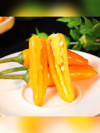 现鲜香采摘小黄椒新鲜辣椒250g子弹头小米辣椒贡菜火锅蘸料采摘#好吃不贵 #小黄椒 #无辣不欢美食 #辣椒