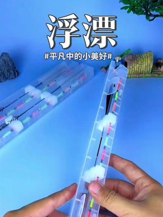 福翼浮漂黑猫OLED硬尾鲢鳙夜光漂日夜用鱼漂高灵敏醒目变色电 #热点 #浮漂 #浮漂鱼漂 #浮漂套装 #别划走