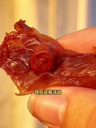 喝再多骨头汤也不如多来几颗荔枝干 #优质农产品#源头好货#家乡特产#分享家乡特产#零食推荐