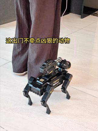 没有小朋友能抵挡住这么酷炫的 #智能机械狗 !将它作为孩子的童年小伙伴,陪着孩子一起成长,实在太合适不过了#儿童玩具 #机器狗 #ai智能