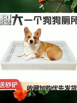 狗狗厕所用品宠物便盆中大型犬金毛边牧便便神器防踩屎踩尿厕所 #宠物玩具 #宠物清洁用品