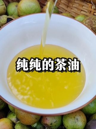 你知道茶油是怎么来的吗?茶籽油的来历,茶油从树上来 山茶油在中国已经有2300多年的历史,你知道它属于什么油吗?#山茶油 #茶籽油 ,#茶油之乡