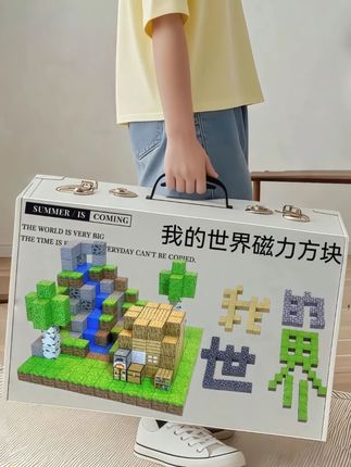 #我的世界磁力方块 #积木玩具 #创意拼搭 #积木 #亲子互动