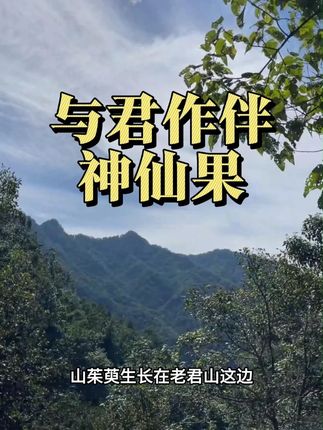 与君作伴神仙果 #山茱萸 #山货 #优质农产品 #纯天然无添加