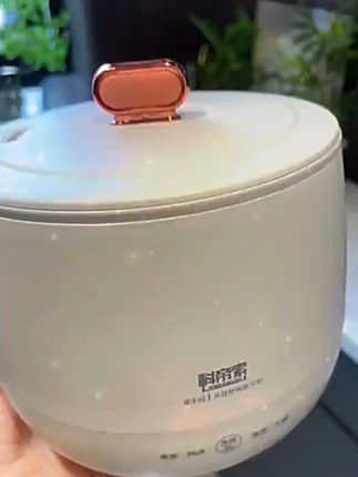 新加坡中产家庭都在用高端小电饭煲,你看现在链接才啥价! 趁现在活动在,赶紧薅!