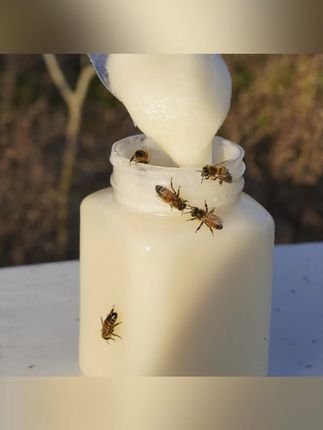 【假一赔万】5斤纯正枇杷雪蜜稀有高原蜂场自然成熟原始健康真蜂蜜#枇杷雪蜜 #高原蜂蜜 #真蜂蜜 #自然成熟 #假一赔万