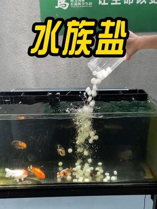 夏天高温更需要水族盐 #水族盐#水族#养鱼日记#夏日高温