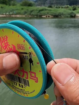 詹品无结爆力鲢鳙包芯大力马成品主线组黑坑暴力pe线巨物大物主 #詹品无结爆力鲢鳙包芯大力马成品主线 #渔具用品 #爱生活爱钓鱼 #钓鱼人