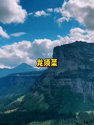 #厂家直发品质保证 #便宜便宜真便宜 #美食分享 #龙须菜