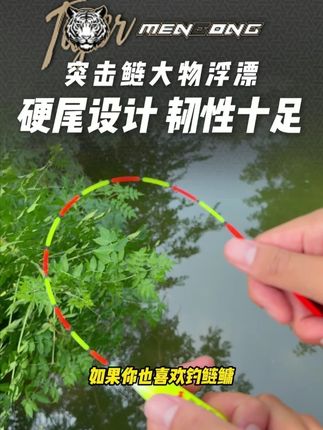 突击鲢大物浮漂硬尾设计韧性足!! #突击鲢大物浮漂 #钓鱼